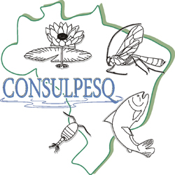 logo consulpesq