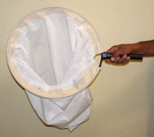 rede varredura da vegetação